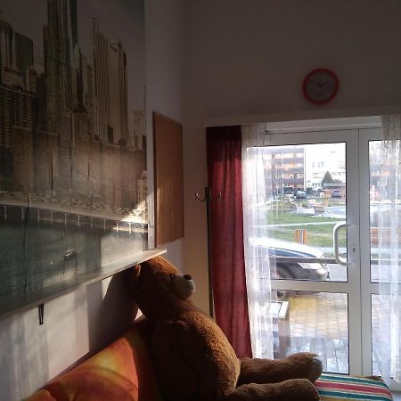 Apartament Przy Parku Noclegi Плоцьк Екстер'єр фото