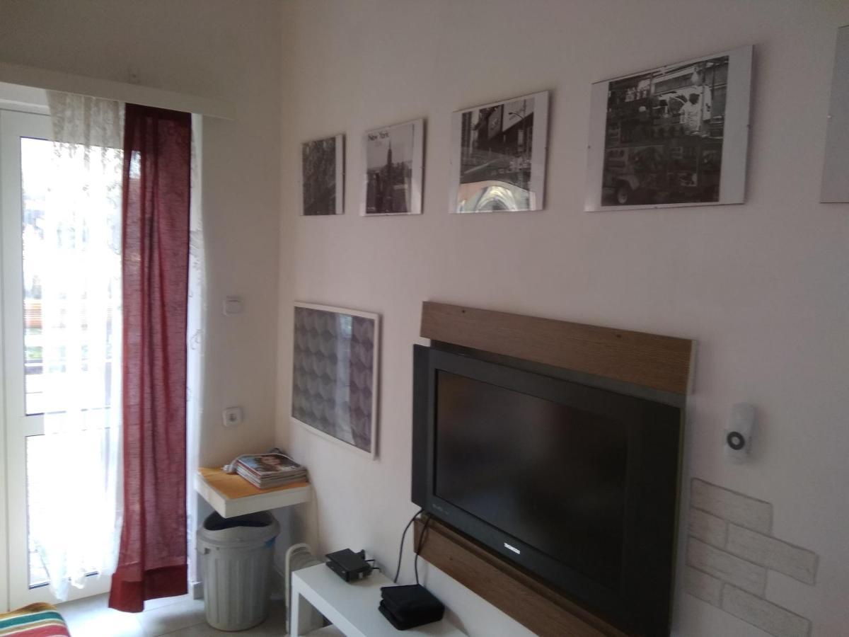 Apartament Przy Parku Noclegi Плоцьк Екстер'єр фото